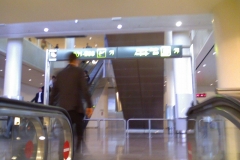 Foto_042208_003