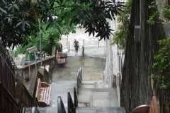 aDSC01838