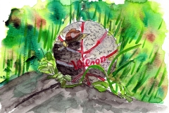 SchneckAufWilson